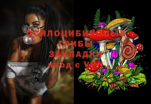 мяу мяу мука Иноземцево