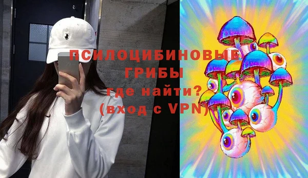 мяу мяу мука Иноземцево