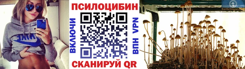 Псилоцибиновые грибы ЛСД  Купить закладки  Остров 